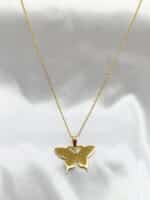 گردنبد پروانه ای برند Stainless Steel