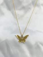 گردنبد پروانه ای برند Stainless Steel