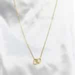 گردنبد زنانه قلبها برند Stainless Steel